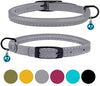 Bronzedog - Collar de piel para gato, con cascabel, color negro, azul, rosa, verde, amarillo y gris - BESTMASCOTA.COM