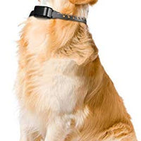 Zeonetak collar de corteza en spray para entrenamiento de perro, Citronella Control Stop ladrando collar para perros pequeño, mediano, grande, ajustable, recargable, impermeable, sin golpes y humanos - BESTMASCOTA.COM