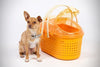 Iris Animal Carrier - BESTMASCOTA.COM