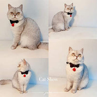 Collar de piel sintética con lazo para gato, con campana, gato, gato, ajustable, de seguridad - BESTMASCOTA.COM