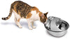 Pioneer - Fuente de lluvia para mascotas, fuentes para beber mascotas - BESTMASCOTA.COM