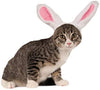 Rubie's Crinkle Bunny Ears Pet Headband - BESTMASCOTA.COM