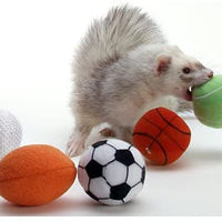Marshall Ferret Sport Balls - BESTMASCOTA.COM