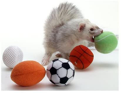 Marshall Ferret Sport Balls - BESTMASCOTA.COM