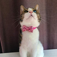 Collar de gato azuza con campana, ajustable para gato con pajarita, collares de seguridad para gatos, paquete de 2 - BESTMASCOTA.COM