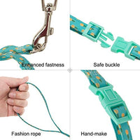 PUPTECK - Arnés para gato con correa, correa suave ajustable con diseño de moda - BESTMASCOTA.COM