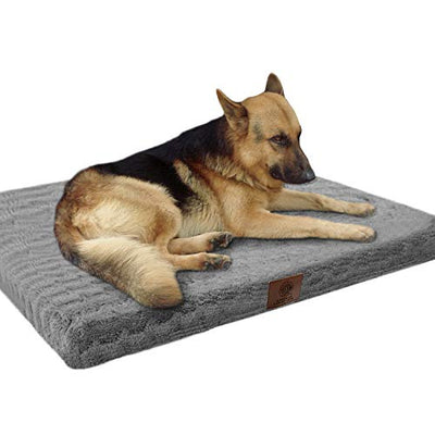 Cama ortopédica para mascotas - BESTMASCOTA.COM
