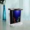 Freesea tanque de peces Betta de 1,4 galones con luz LED y bomba de filtro - BESTMASCOTA.COM