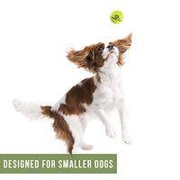 Hyper Pelotas de tenis para perros [Juguetes seguros para perros para ejercicio y entrenamiento] (bolas de tenis para perros de colores brillantes, fácil de localizar) - BESTMASCOTA.COM