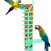 Parrots - Cesta de alimentos de plástico, soporte para alimentos y frutas, para mascotas, pájaros, frutas, verduras, lechadas - BESTMASCOTA.COM