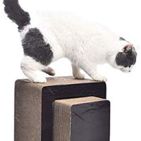 AmazonBasics - Tumbona rascadora para gatos - BESTMASCOTA.COM