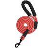 Correa para perro MayPaw resistente, de nailon de 1/2 x 6 pies, con asa acolchada suave y gruesa para perros grandes y medianos - BESTMASCOTA.COM