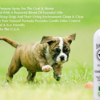 barklogic dejar en acondicionado Spray 16 fl oz | Sin parabenos, sin ftalatos, sin Sulfatos, sin Dea & Peg, hipoalergénico, vegetales - BESTMASCOTA.COM