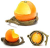 Pxlucky - Comedero para pájaros, cuenco para comida de pájaros, taza para loros pequeños, cacatúas, hámster, pequeño animal, recipiente para agua potable para pájaros, jaula de accesorios - BESTMASCOTA.COM