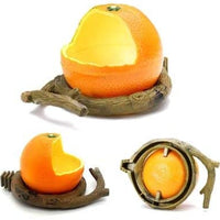 Pxlucky - Comedero para pájaros, cuenco para comida de pájaros, taza para loros pequeños, cacatúas, hámster, pequeño animal, recipiente para agua potable para pájaros, jaula de accesorios - BESTMASCOTA.COM