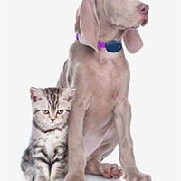 Extreme Dog Fence - Correa de repuesto para collar de perro, compatible con casi todas las marcas y modelos de vallas de perros. - BESTMASCOTA.COM