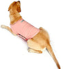 Furubaby Ansiety - Abrigo para perro con camisa, para perros pequeños, medianos, grandes, XL, color sólido, azul, gris, verde, rosa, rosa (rosa) - BESTMASCOTA.COM