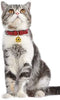 Lumimi - Collar para gato, collar para cachorro, piel auténtica, longitud ajustable, fácil de limpiar, duradero y seguro, incluye cascabel y perforador, multicolor - BESTMASCOTA.COM