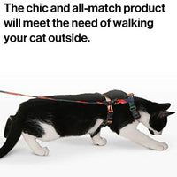 pidan - Juego de arnés y correa para gato a prueba de fugas, chaleco ajustable para gato con clip de metal, correa de 3.9 ft, ajuste cómodo para mascotas, gatitos, conejos, animales pequeños - BESTMASCOTA.COM