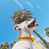 Collar de perro personalizado con texto y arte de alta definición, una alternativa de collar de perro bordado – Fabricado en los Estados Unidos – Disponible en 7 tamaños y 21 colores - BESTMASCOTA.COM