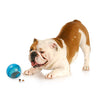 OurPets IQ Treat Ball Interactive Food Dispensing Dog Toy (Colors May Vary) - BESTMASCOTA.COM