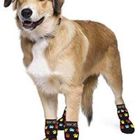 Pawchie - Calcetines antideslizantes para perro, para suelos de madera dura, protección para patas de mascotas, para uso en interiores - BESTMASCOTA.COM