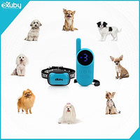 eXuby - Collar de choque pequeño para perros pequeños de 5 a 15 libras, collar más pequeño del mercado, combina sonido, vibración, choque, 9 niveles de intensidad, control remoto de bolsillo, batería de larga duración, diseño impermeable - BESTMASCOTA.COM