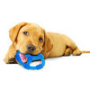 Nylabone Puppy Chew Toy | Hueso de dentición para cachorros | Juguete para masticadores suaves - BESTMASCOTA.COM