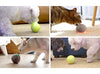 Pelota de mimbre de animal, 100% automática e interactiva para mantener a tus perros y gatos a la compañía todo el día, la alegría de tu mascota cuando estás solo en casa. - BESTMASCOTA.COM