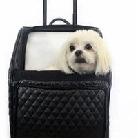 petote Bolsa de Río sobre ruedas Pet Carrier - BESTMASCOTA.COM