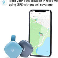 Findster Duo+ Pet Tracker Free of Monthly Fees - GPS Tracking Collar for Dogs and Cats & Pet Activity Monitor - BESTMASCOTA.COM