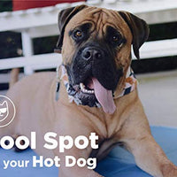 The Green Pet Shop almohadilla de enfriamiento para mascotas, esta colchoneta ayuda a prevenir sobrecalentamiento y deshidratación, enfría y calma a su perro, activado por presión,fórmula gel no tóxica. - BESTMASCOTA.COM