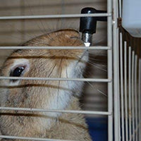 RentACoop Botella de agua con diseño de animales pequeños sin goteo. Sin BPA. La mejor botella de agua para mascotas pequeñas, conejos, hurones, hámsteres, cobayas, conejos. - BESTMASCOTA.COM