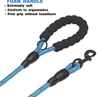 tobeDRI Correa para perro resistente, 2 asas acolchadas, 6 pies de largo, correas de entrenamiento para perros medianos y grandes - BESTMASCOTA.COM