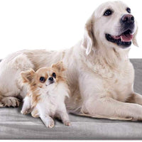 JoicyCo - Cama para perro, almohadilla 35/42/47 en camas lavables, colchón suave para perro, almohadillas antideslizantes para perrera, color de lujo - BESTMASCOTA.COM