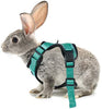 rabbitgoo - Arnés para gato para caminar, a prueba de escape, para gatos pequeños y medianos, arneses ajustables, arnés de malla suave para gatos pequeños, chaqueta de gato segura con tiras reflectantes y 1 anillo de metal - BESTMASCOTA.COM