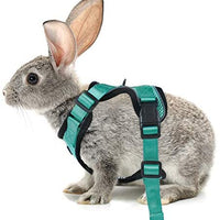 rabbitgoo - Arnés para gato para caminar, a prueba de escape, para gatos pequeños y medianos, arneses ajustables, arnés de malla suave para gatos pequeños, chaqueta de gato segura con tiras reflectantes y 1 anillo de metal - BESTMASCOTA.COM