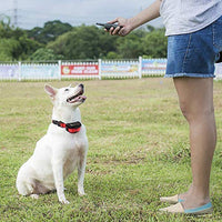 Pet Union PT0Z1 collar de entrenamiento para perros, totalmente impermeable, rango de 1200 pies - BESTMASCOTA.COM