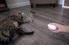 Petlinks Electronic Motion Toys for Cats - BESTMASCOTA.COM