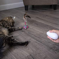 Petlinks Electronic Motion Toys for Cats - BESTMASCOTA.COM