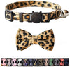 M-YOUNG Collar para gato con campana y pajarita, collares de seguridad ajustables para cachorro de gatito (6.7 in a 10,8 pulgadas) - BESTMASCOTA.COM