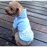 Atuendos deportivos para mascota, abrigos para perros y gatos para clima frío, sudaderas para perro, suéteres para mascota, de Moolecole - BESTMASCOTA.COM