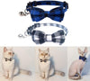 Collar de gato con lazo y campana para gato, ajustable, para mascotas y gatos. - BESTMASCOTA.COM