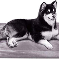 JoicyCo - Cama para perro, almohadilla 35/42/47 en camas lavables, colchón suave para perro, almohadillas antideslizantes para perrera, color de lujo - BESTMASCOTA.COM