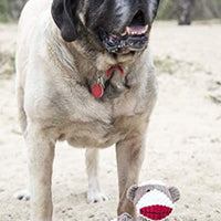 HuggleHounds - Juguete de peluche chirriante para perros con nudos para masticadores agresivos - BESTMASCOTA.COM