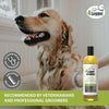 4Legger USDA - Champú orgánico certificado para perros, natural e hipoalergénico con aloe y limoncillo, calmante para piel normal, seca, irritante o alérgica, biodegradable, fabricado en Estados Unidos, 16 onzas - BESTMASCOTA.COM