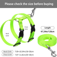 5 Pieces Adjustable Rabbit Harness Leash Bunny Harness Leash, Harness Leash for Pet Safety Walk Running Jogging, Pet Harness Leash for Bunny Cat Puppy Kitten Ferret and Other Small Pet Animals - BESTMASCOTA.COM