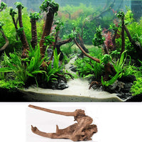 5 ramas de madera de deriva para acuario, decoración de acuario, madera natural, para decoración de peces, para lagartijas, tamaño pequeño, tamaño pequeño - BESTMASCOTA.COM