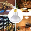 50 W luz blanca suave para reptiles y anfibios – 2 unidades - BESTMASCOTA.COM