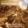 50 W luz blanca suave para reptiles y anfibios – 2 unidades - BESTMASCOTA.COM